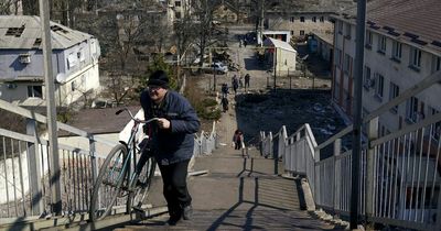 Ukrainian survivors forced to kill stray dogs for food amid intense Russian bombardment