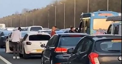 Drivers treat themselves to an ice cream in the MIDDLE of the M56 after becoming stuck in standstill traffic