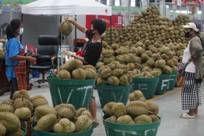 Ministry sees 15% rise in fruit exports