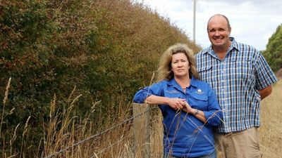 Road upgrade threatens historic Longford hedge as trucks cut through local road to reach highway