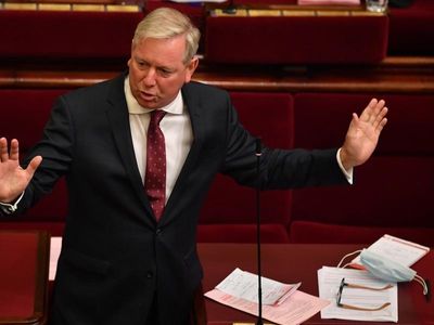 Furore over two Victorian Lib MPs' actions
