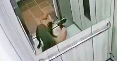 Bloodied woman dragged herself into a lift as she was mauled by pitbull dog