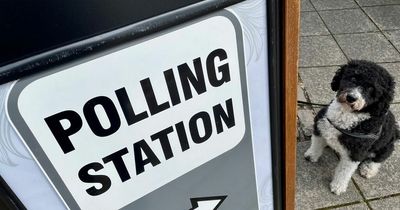 Bristol's elected mayor system slammed as 'undemocratic' in survey