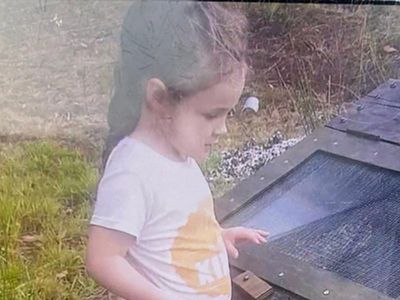 Tas search under way for missing 4yo
