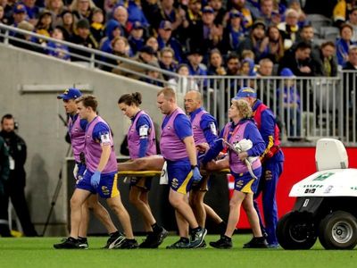 AFL to review under-fire concussion expert