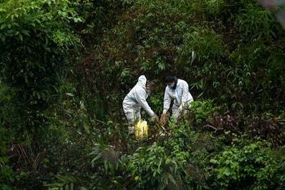 Human remains found at plane crash site in China