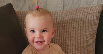 Former dog owners quizzed by police after family's new pet mauls toddler to death