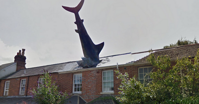 'Shark in roof' added to heritage list despite objections from owner