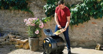 Brits are making their homes more eco-friendly - but struggling to do so in the garden