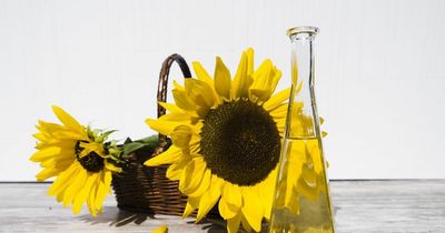 Food labels now wrong as UK runs out of sunflower oil due to Ukraine war