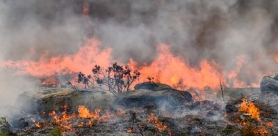 South African media treat fire as foe – its ecosystem benefits get lost in the blaze