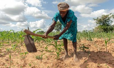 ‘Climate smart’ policies could increase southern Africa’s crops by up to 500%