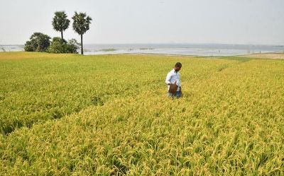 Farm income fell in four States despite aim to double income: parliamentary panel