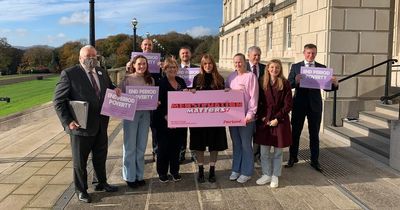 Legislation to make period products freely available in NI passed by Assembly