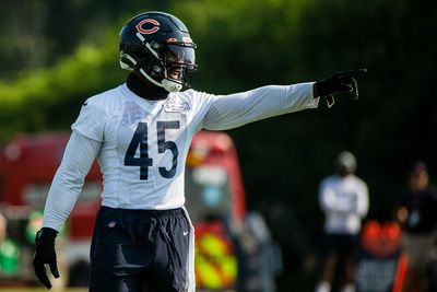 Seahawks agree to terms with former Bears LB Joel Iyiegbuniwe