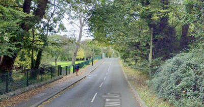 Man dies after Dublin crash as gardai close road