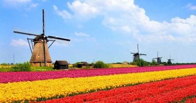 Eurocamp announces money-saving Dutch deals to mark travel test changes