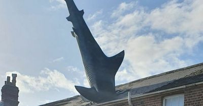 Nottingham scientist's fury after famous Headington Shark house added to Oxford heritage register