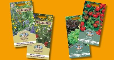 Free Mr Fothergill's seeds inside this weekend's Daily Mirror & Sunday Mirror