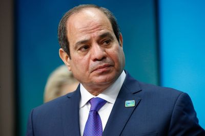 Egypt's President Sisi receives phone call from Ukrainian counterpart - presidency