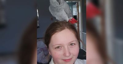 Mum feared autistic daughter's cherished rescue parrot was 'going to die'