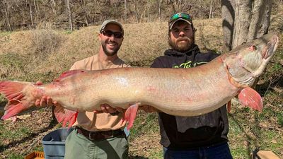 West Virginia Man Catches Huge Pike And Smashes Previous Record