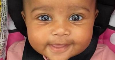 Baby mauled to death by 'out-of-control' family dog as grandma requires stitches