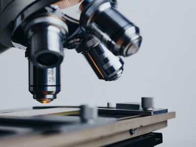 Why Co-Diagnostics Stock Is Trading Higher After Hours