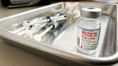 Adelaide social worker banned from spreading misinformation about COVID-19 and vaccines