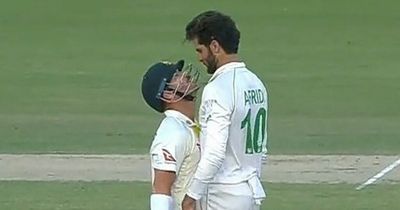David Warner and Shaheen Afridi square up to each other before bursting into laughter