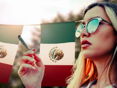 Xebra's First Mover Advantage In Mexican Cannabis Moves To Next Step: Supreme Court