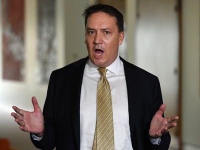 High Court releases reasons in party case