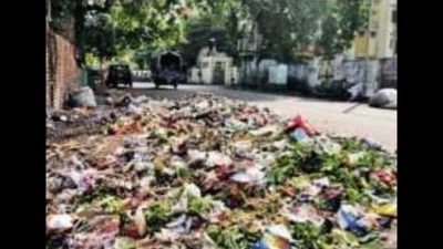 Jaipur: JMC-Greater to float zone-wise tenders for garbage collection