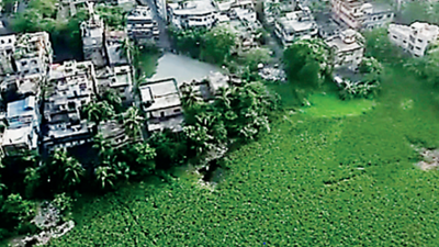 Illegal East Kolkata Wetlands building razed but road construction on