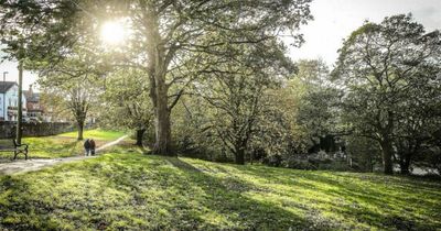 Leeds weather forecast for Friday as more sunshine on the way