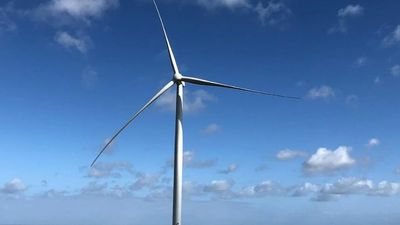Alinta says court wind farm ruling will have 'dramatic' and chilling effect on renewable energy investment