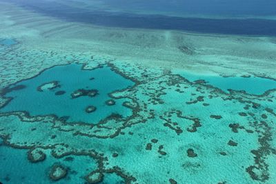 Great Barrier Reef in fourth mass bleaching event since 2016