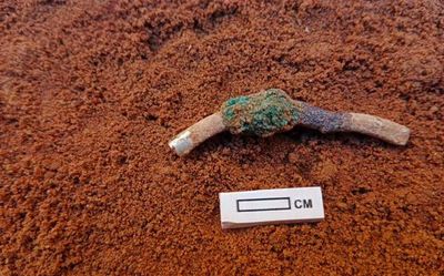 Watch| What did archeologists find hidden in the Maligaimedu excavation site?