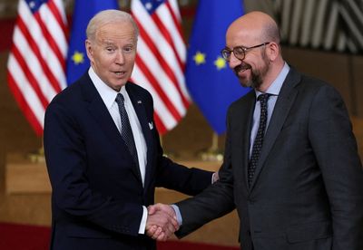EU leaders present united front after row over fix for energy crunch