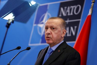 Erdogan says Zelenskiy's referendum call is "smart leadership" -media