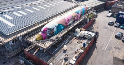 Boeing 727 plane in Bristol transformed after paint job
