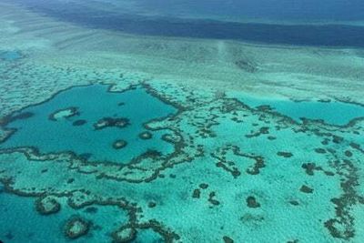 Australia’s Great Barrier Reef confirms mass bleaching event