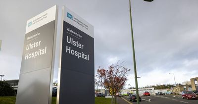 South East Health Trust boss tells councillors of pressures facing nurses