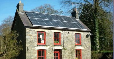 Solar panels: Will they save you money, do you need planning permission and how much they cost to install