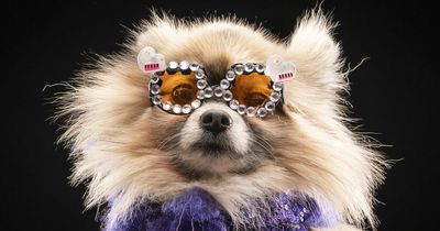 Sir Elton John's 75th birthday toasted by Pomeranian dog