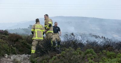 Forest fire warning in place until next week as temperatures soar