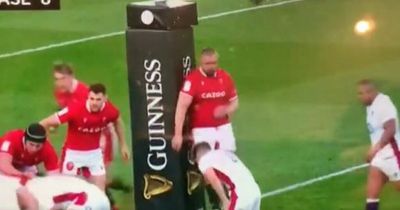 Six Nations investigation finds Tomas Francis should have been removed but fails to publicly state exactly what went wrong