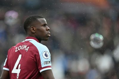 West Ham donate to animal charities after Zouma cat abuse