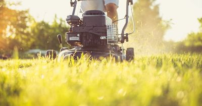 8million call in experts to cut grass as research shows common gardening mistakes