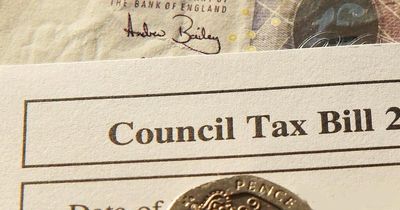 Council tax plan 'could save households £556 a year'